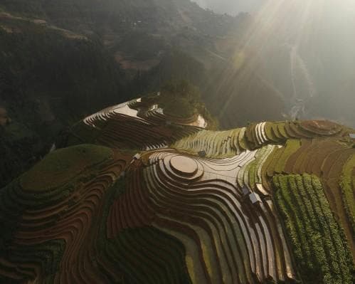 MU kan også GC, Vietnam