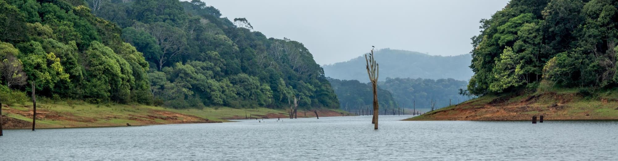 Periyar, India