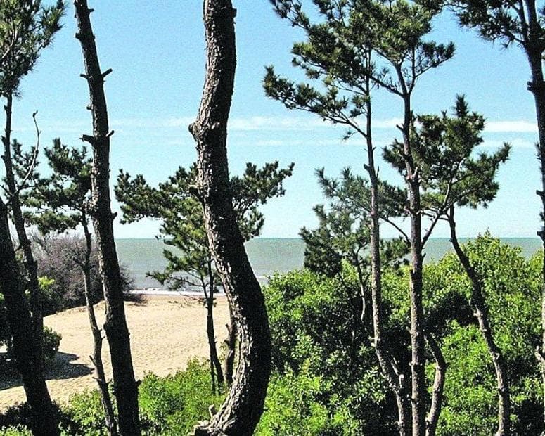 Mar de las Pampas, ארגנטינה