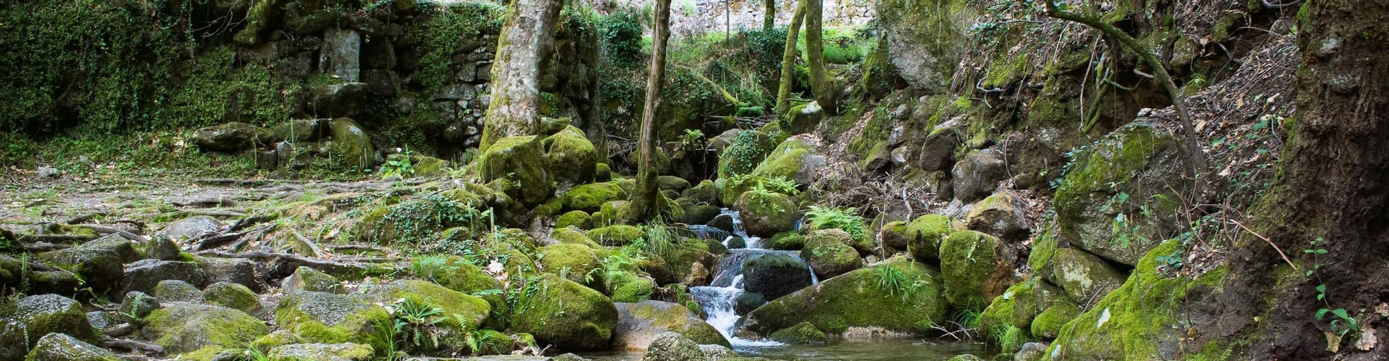 Santa Maria do Bouro, Portogallo