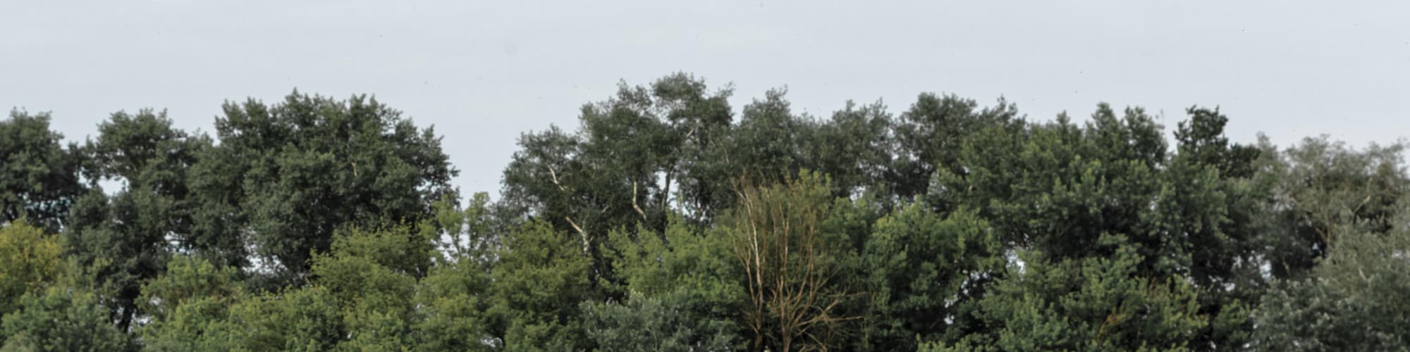 Szentendre, Macaristan