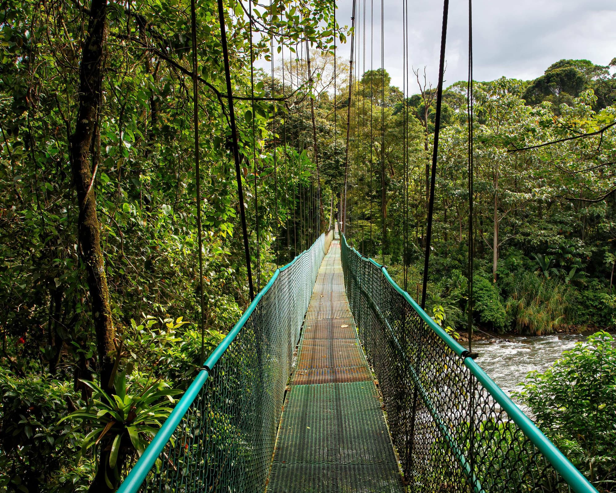 Selva tropical de Sarapiquí, Costa Rica