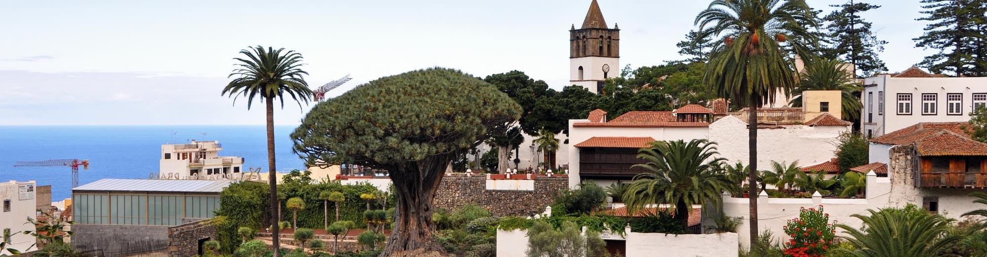 Icod de los Vinos, İspanya 