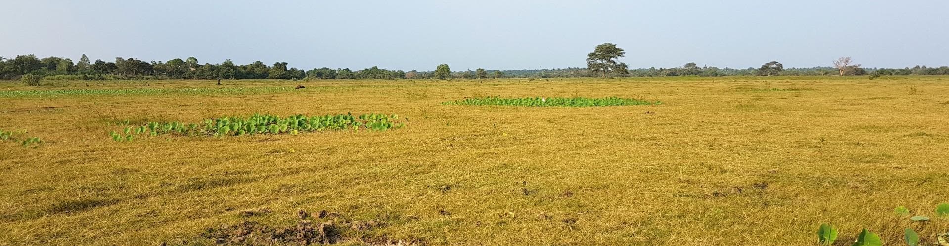 Kalpitiya, Sri Lanka