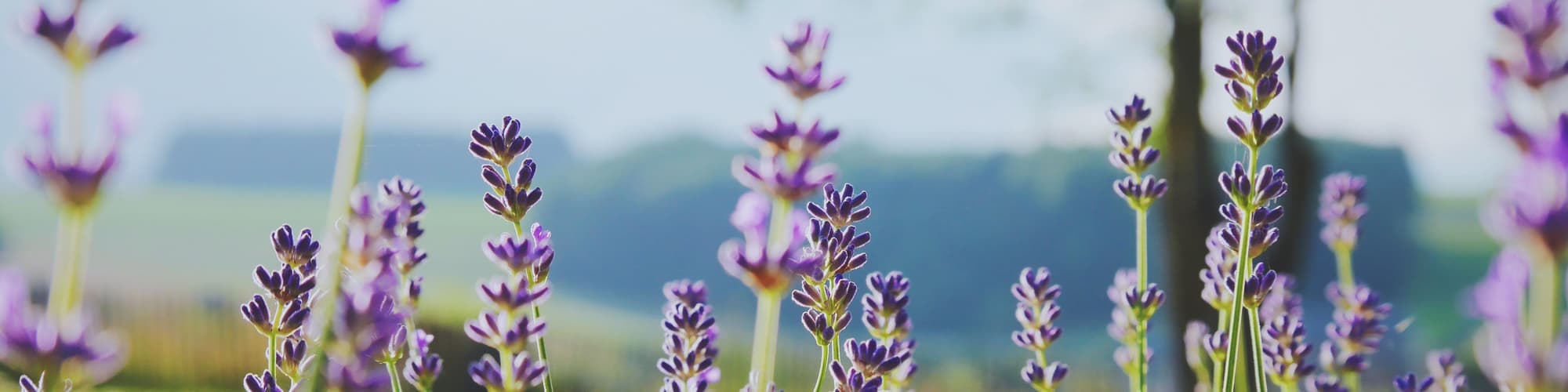 Marche-en-Famenne, Belgio