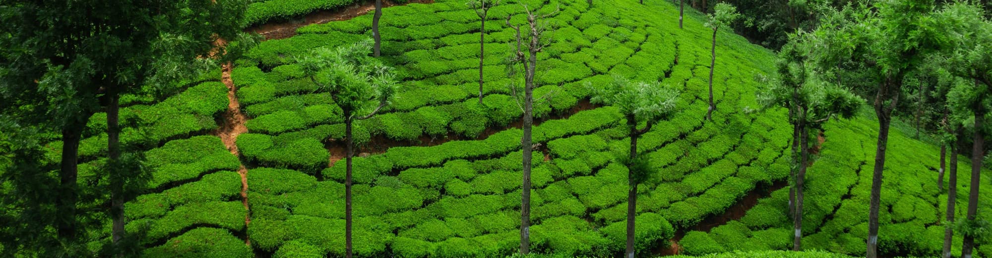 Кумили, Индия