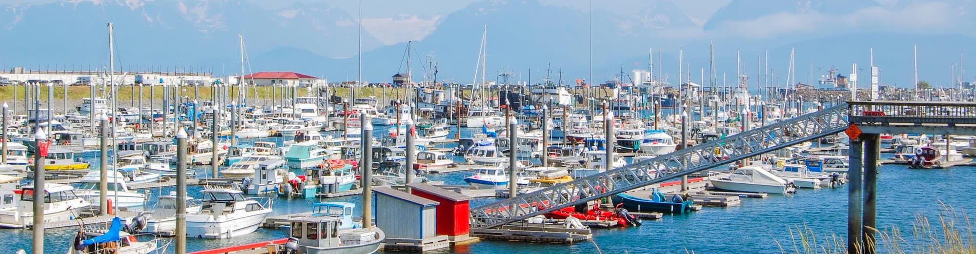 Homer AK, Verenigde Staten