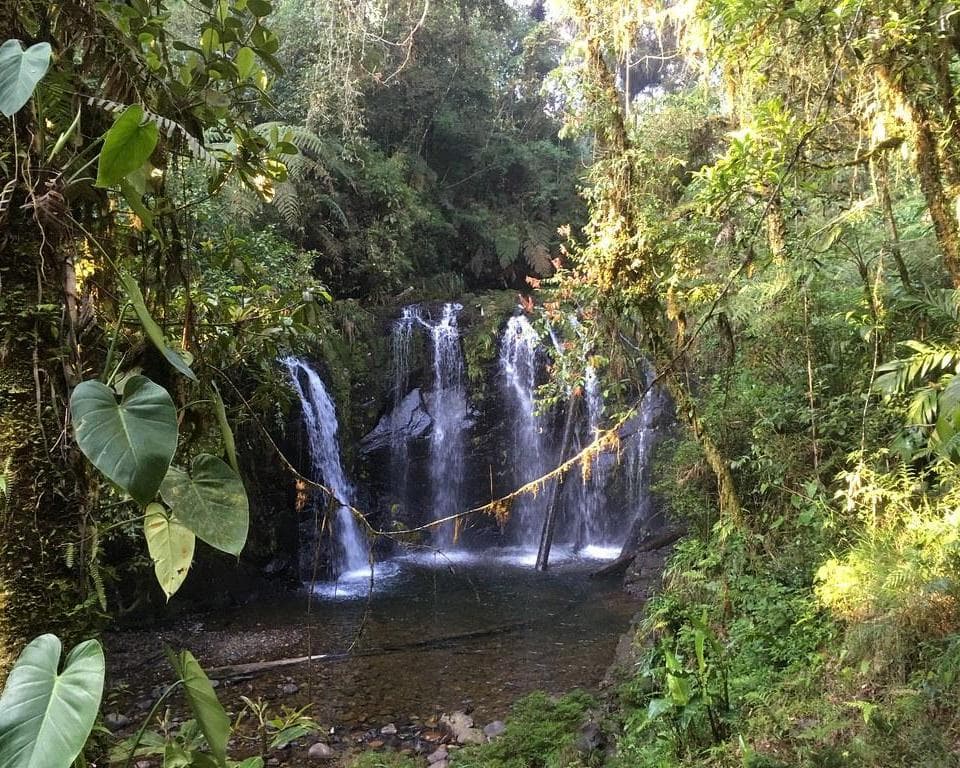 Biotopo do Quetzal, Guatemala