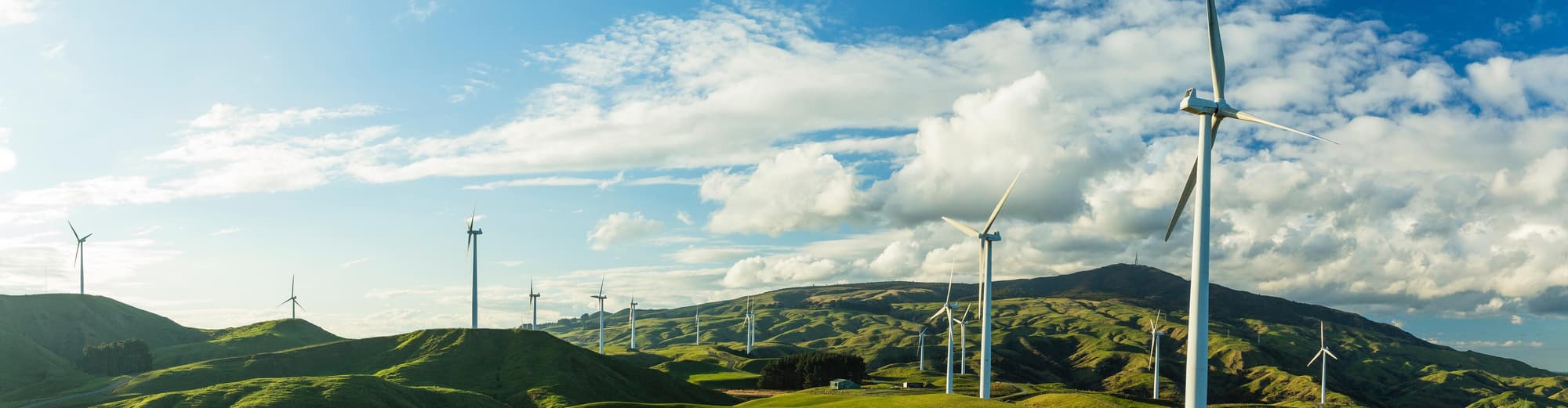 Palmerston North, Nieuw-Zeeland