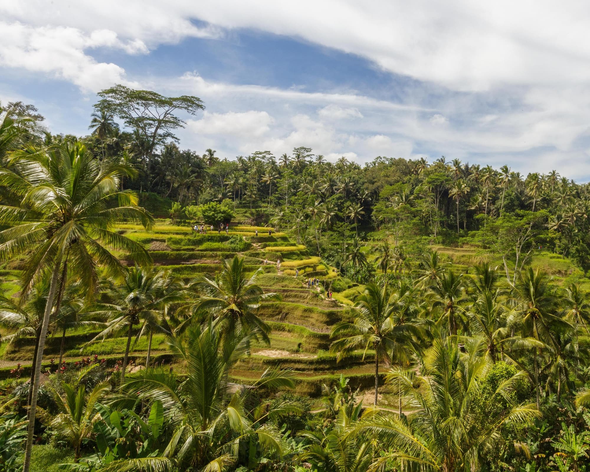 Kabupaten Gianyar, Indonesien