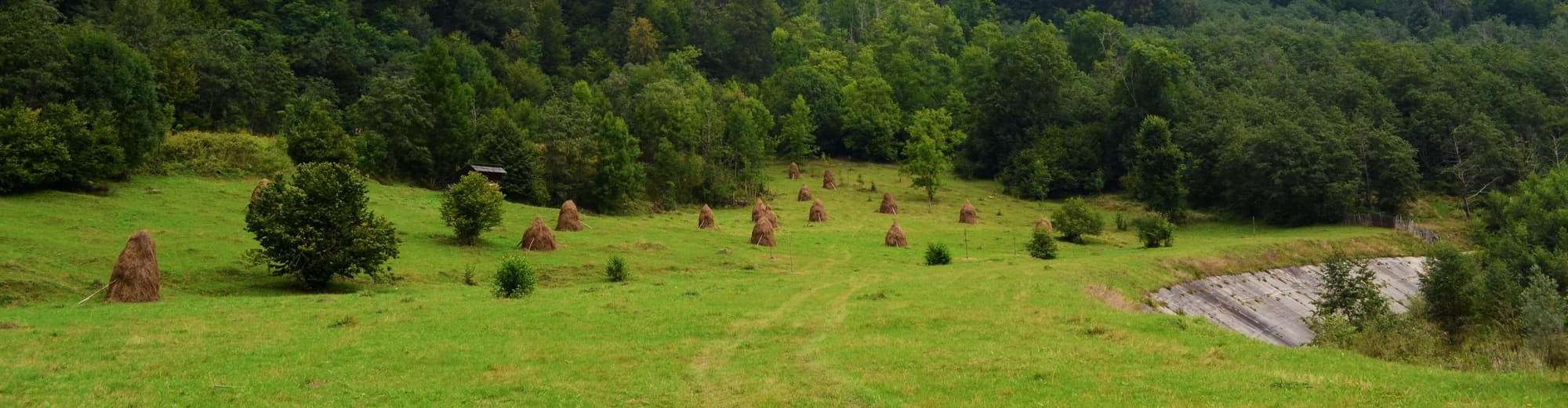 Ramnicu Valcea, Rumanía