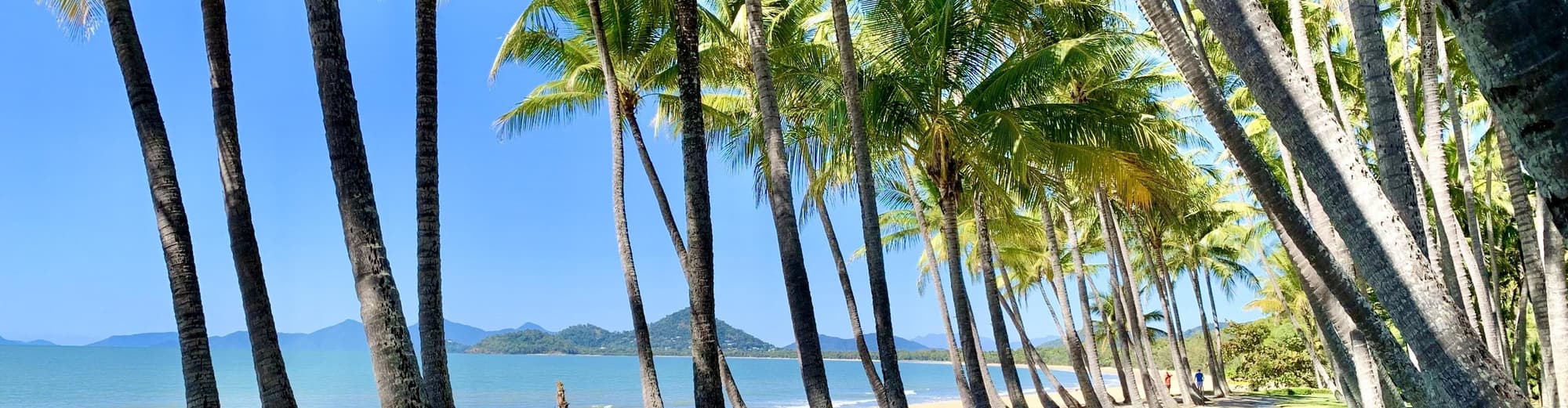 Palm Cove, Australien