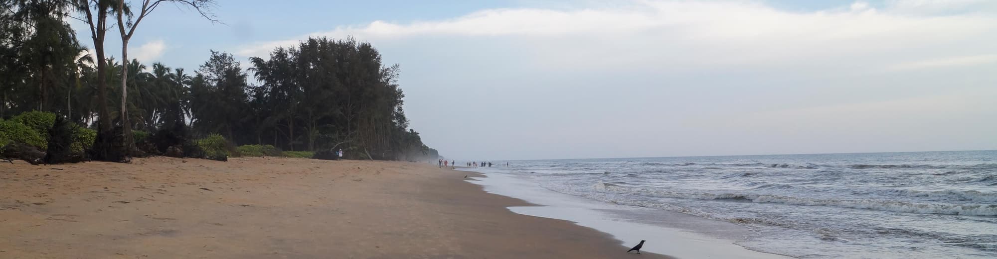 Трисур, Индия