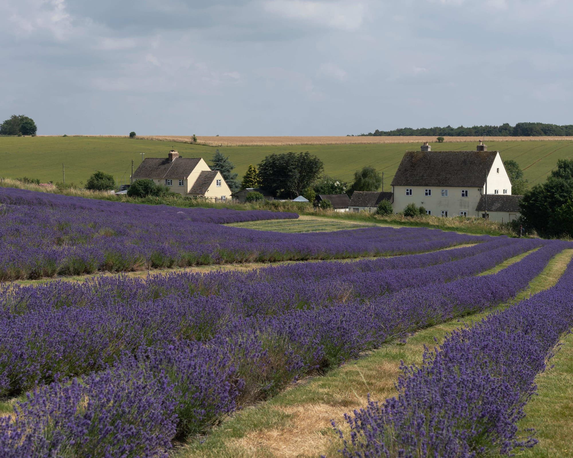 Cotswolds, Regno Unito