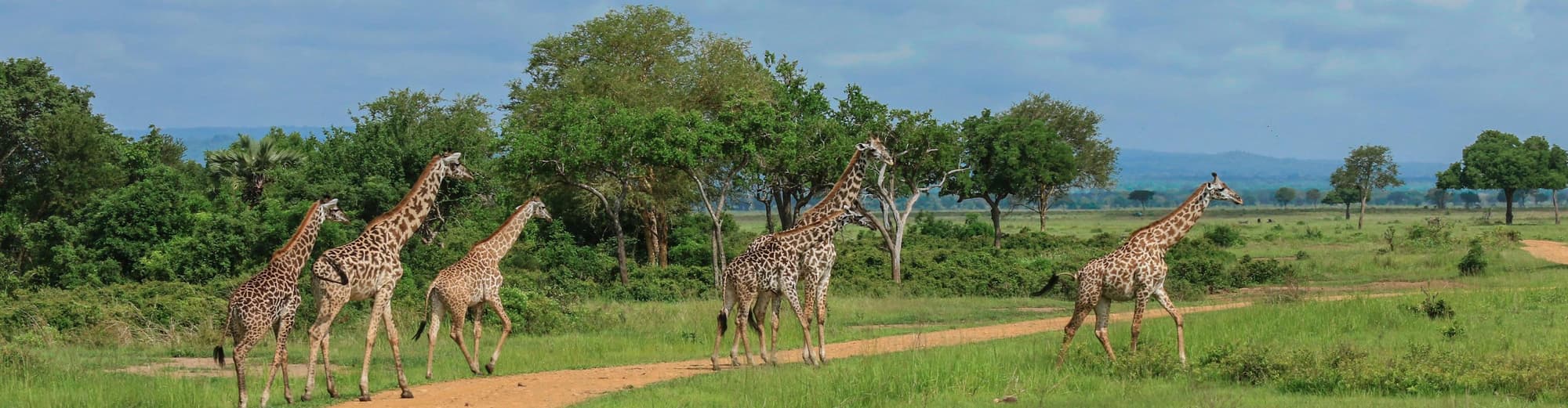 Saadani Nationalpark, Tanzania