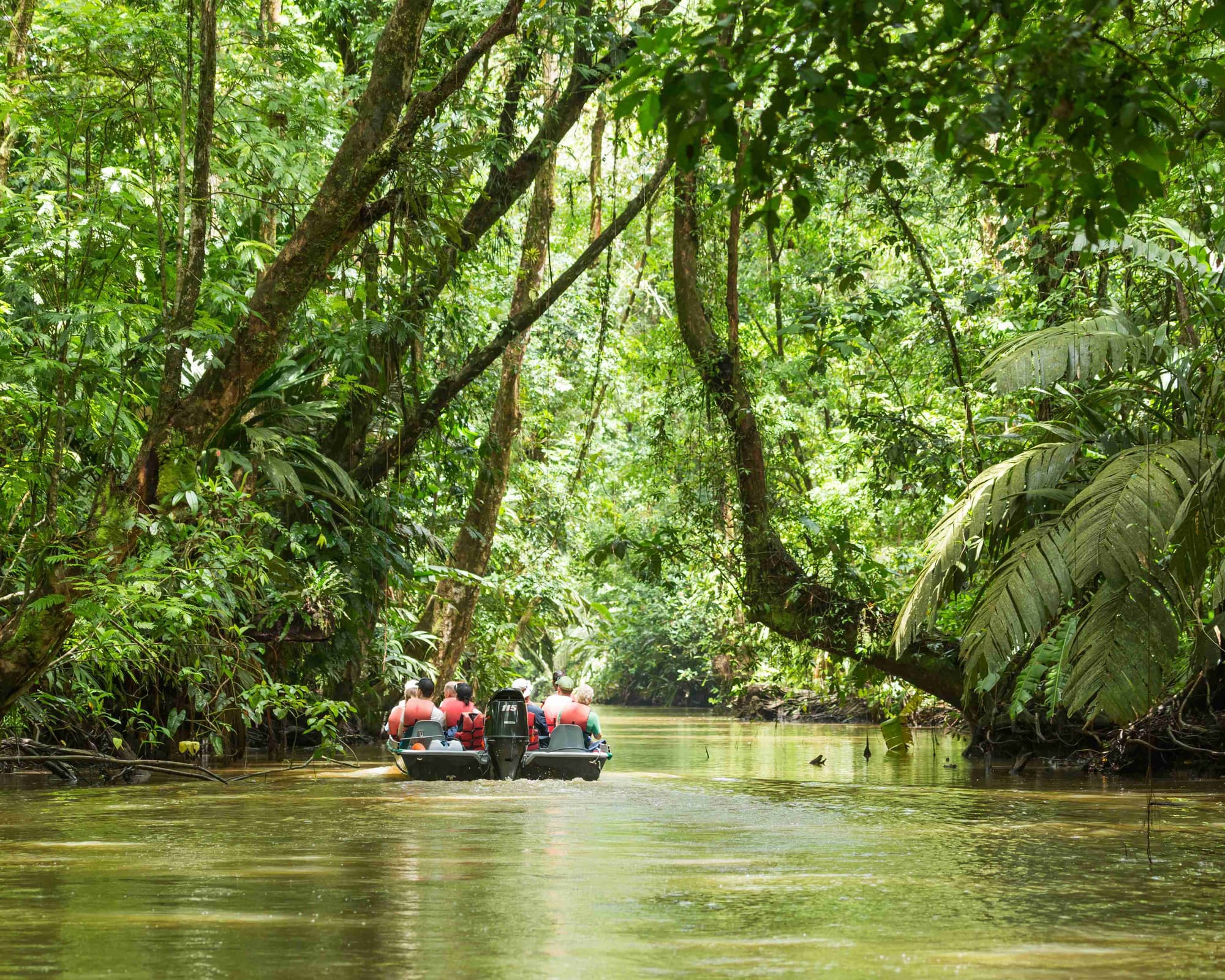 Copey Valley, Costa Rica
