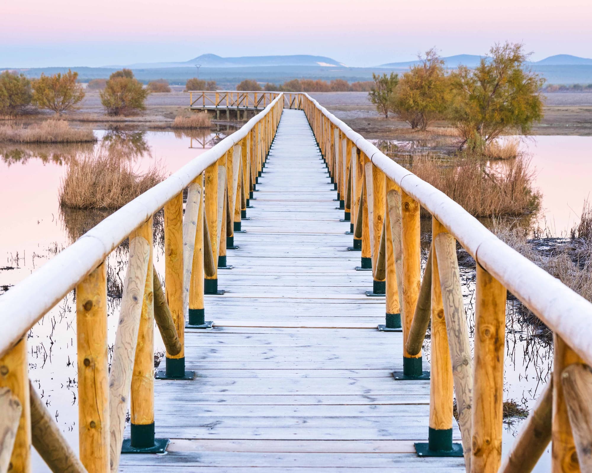 Fuente de Piedra, Espanha