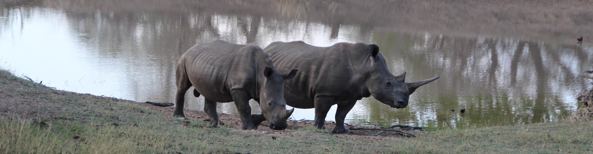 Kapama Game Reserve, Sudáfrica