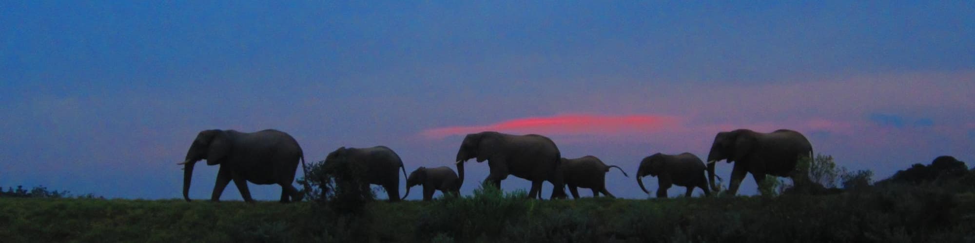 Kenton-on-Sea, Sudáfrica