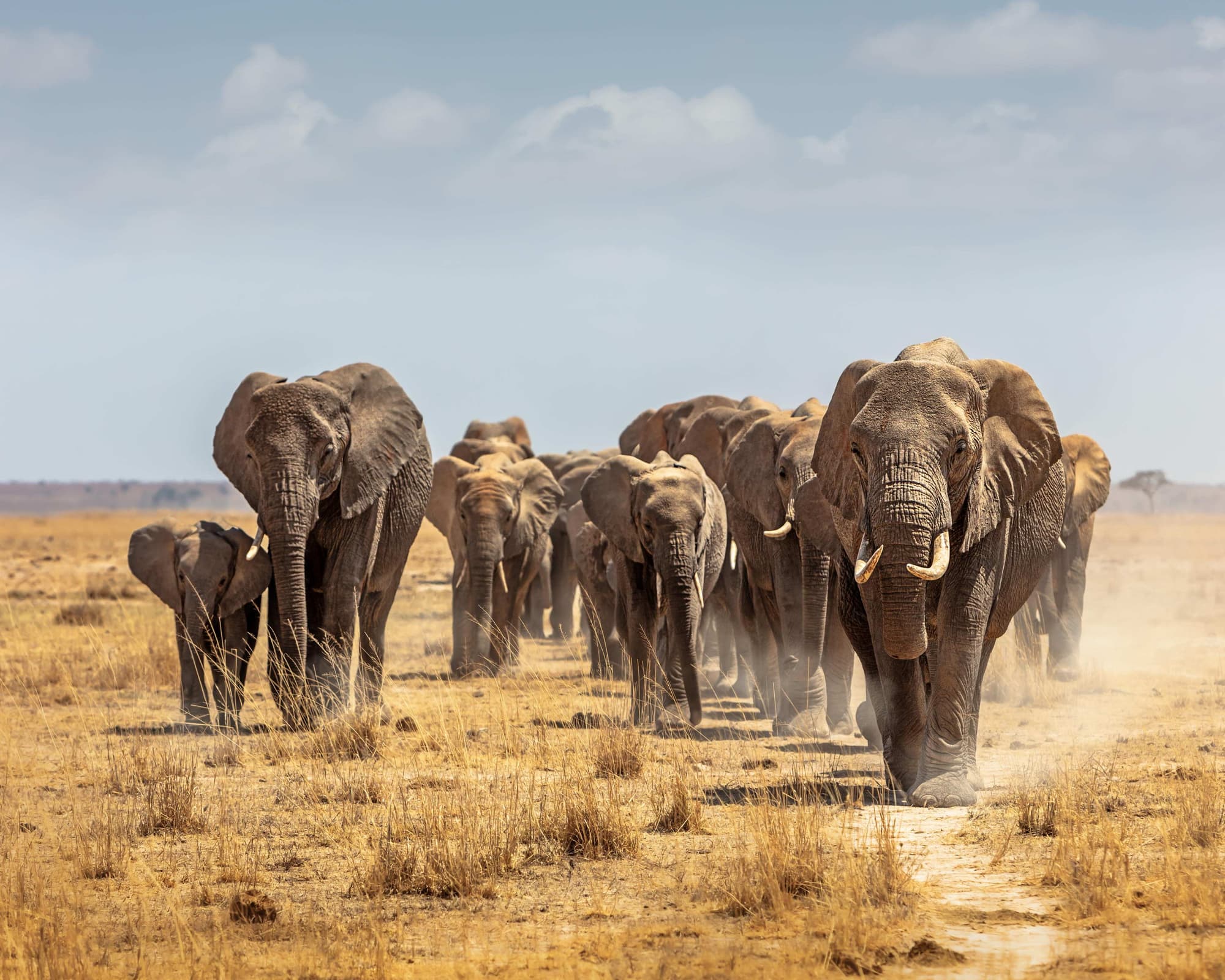 Kariega Game Reserve, Východné Kapsko, Južná Afrika
