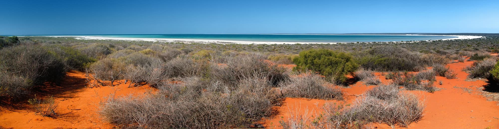 Shark Bay, Australia