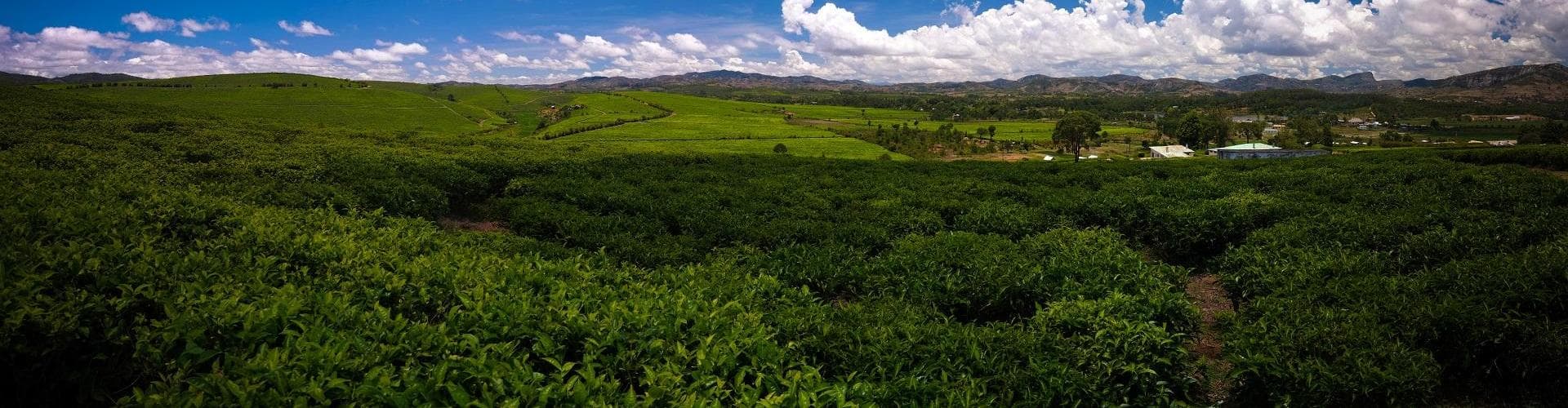 Sahambavy, Madagascar