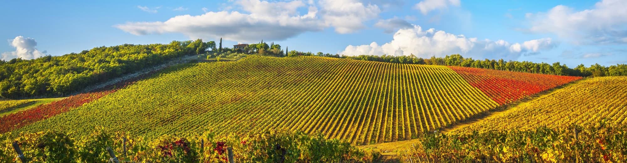 Gaiole in Chianti, Italia