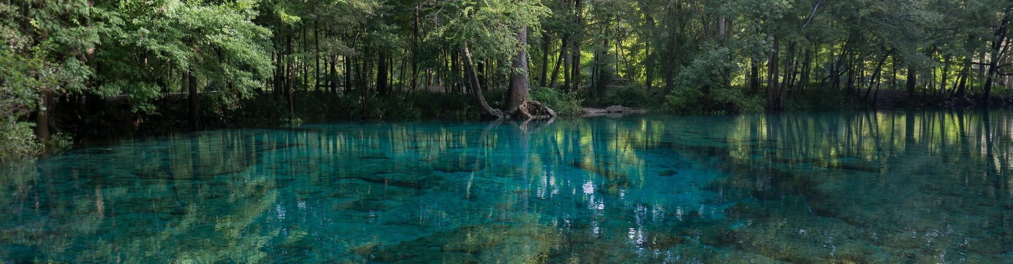 Crystal River FL, Verenigde Staten