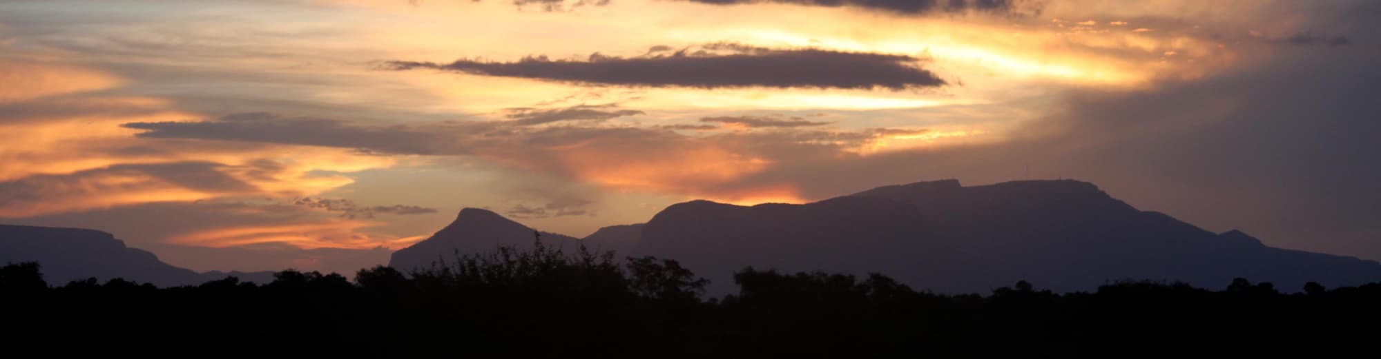 Sabi Sands viltreservat, Sydafrika