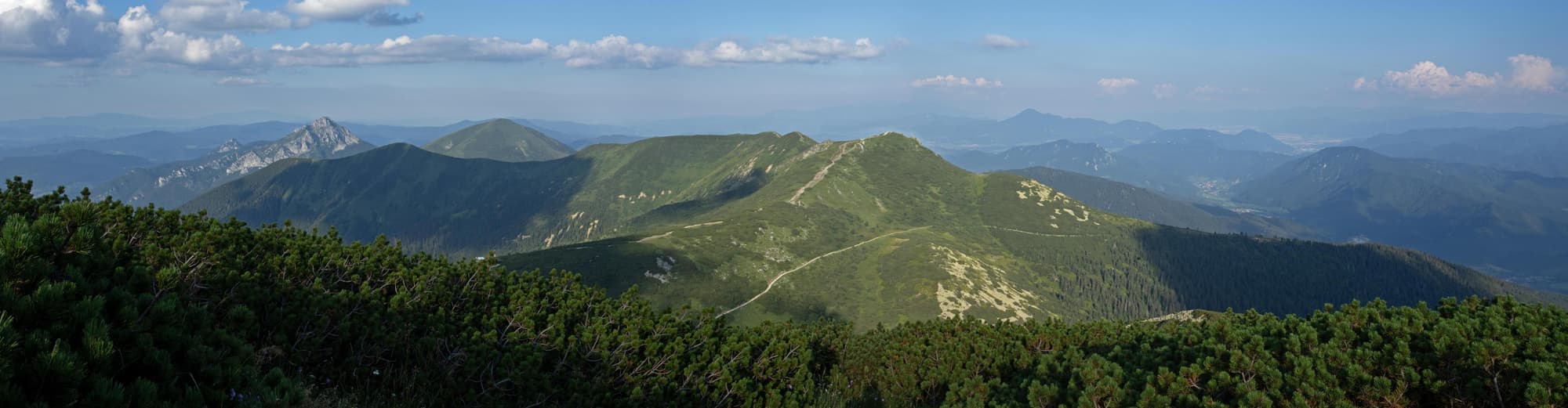 Mala Mala viltreservat, Krugerområdet, Sydafrika, Sydafrika