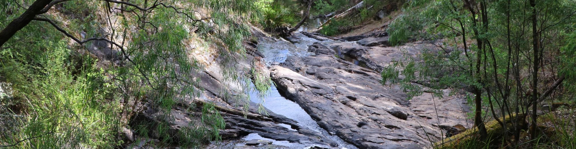 Pemberton, Australië