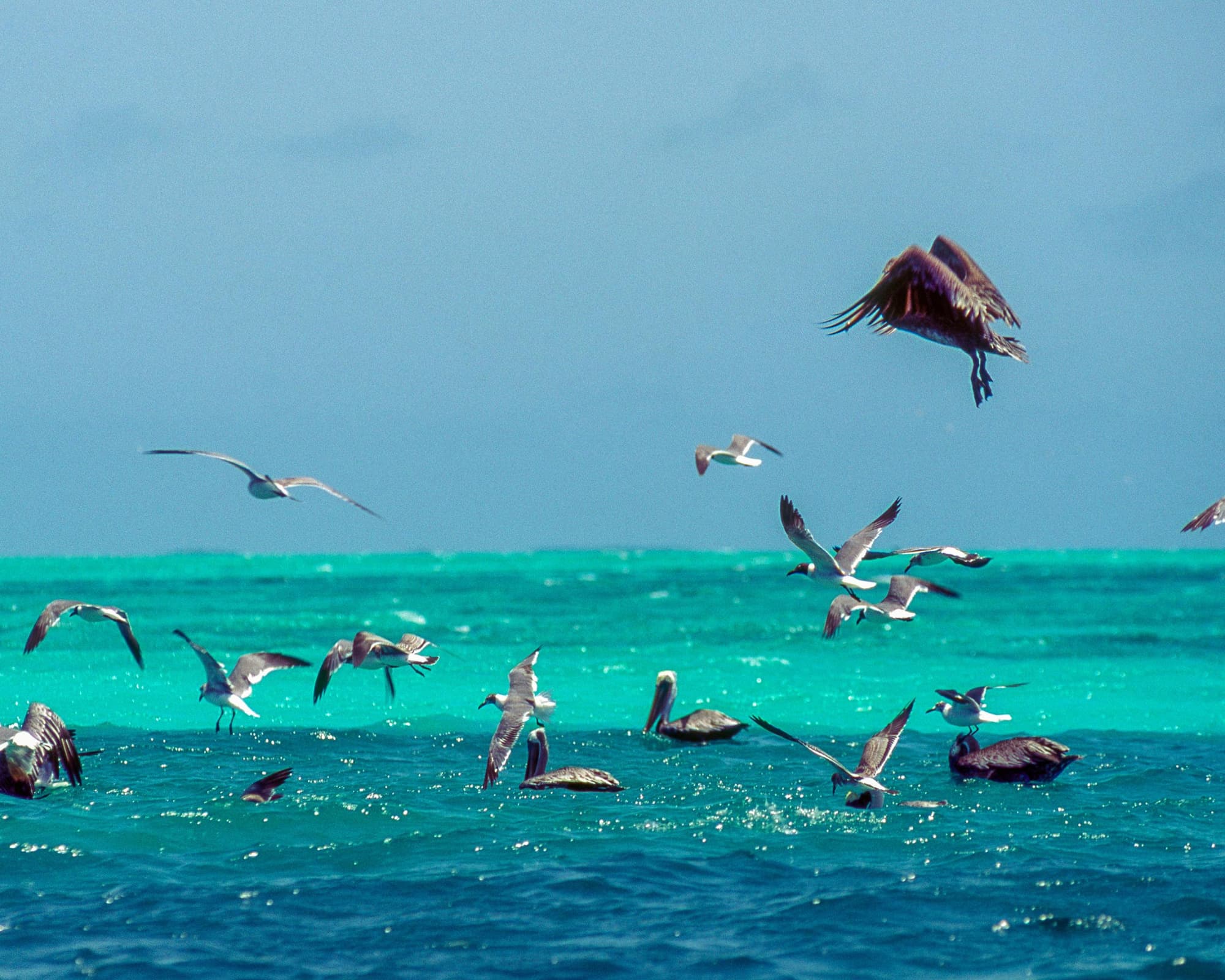 Los Roques, Venezuela