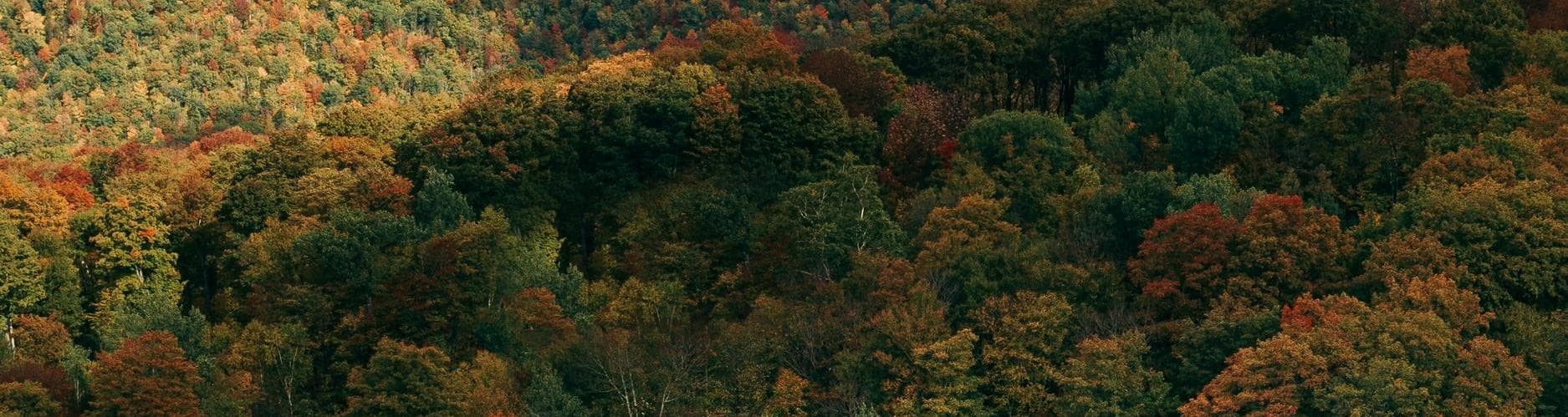 Santa Maria CA, Stati Uniti d'America