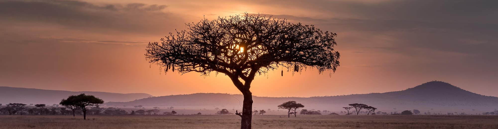 Welgevonden viltreservat, Sydafrika