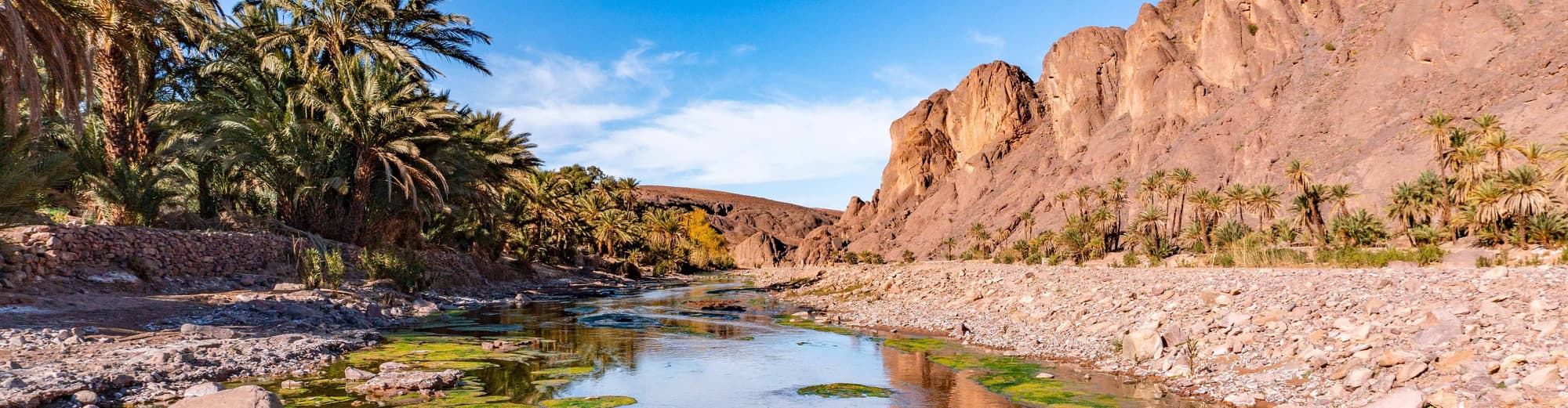 Финнт Оассис, Марокко