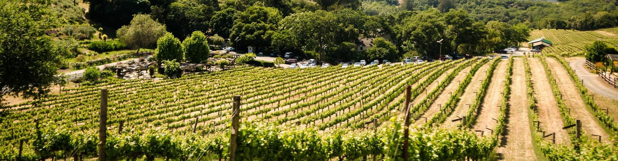 Valle de Guadalupe, Mexico