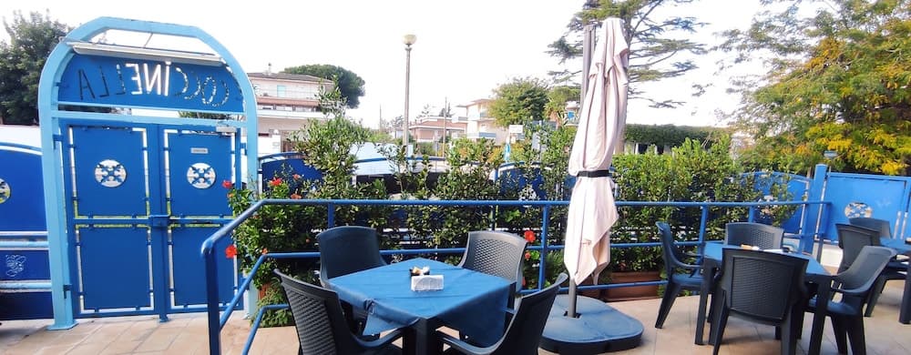 Coccinella, Primary image