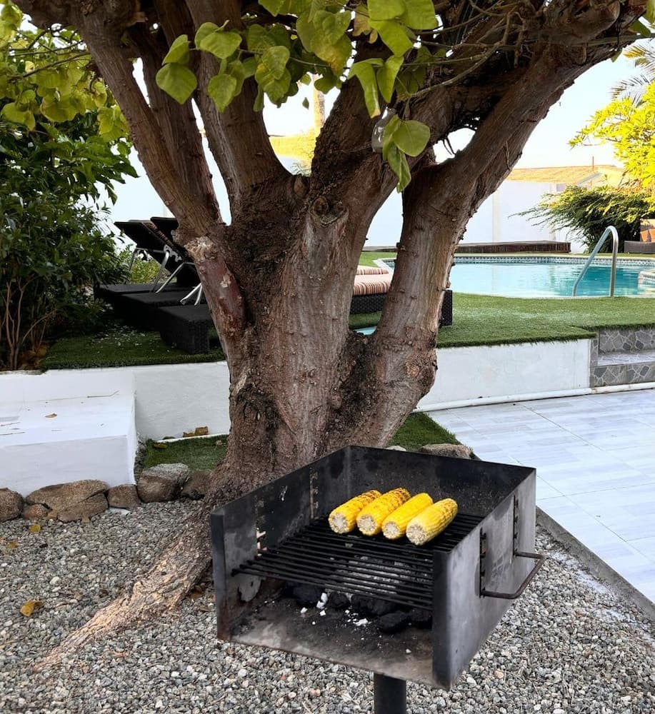 ALOE B&B, Terrace/patio