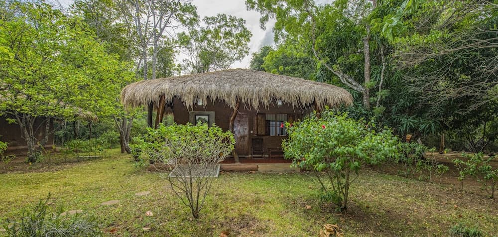 The Other Corner - Habarana, Exterior