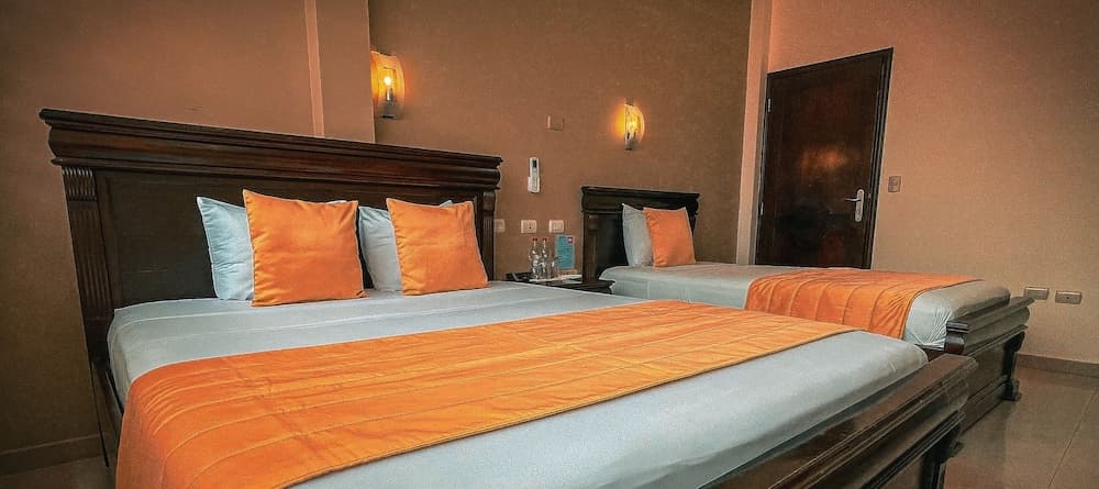 Hotel Flamingo, Room