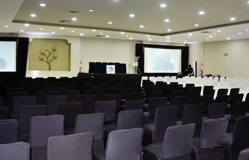 Real de Minas Tradicional, Meeting facility