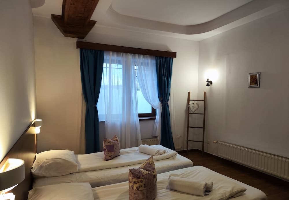 Pension Buon Gusto Sibiu - motorcycle friendly, Room