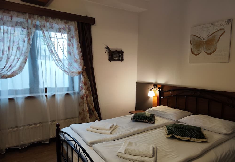 Pension Buon Gusto Sibiu - motorcycle friendly, Room
