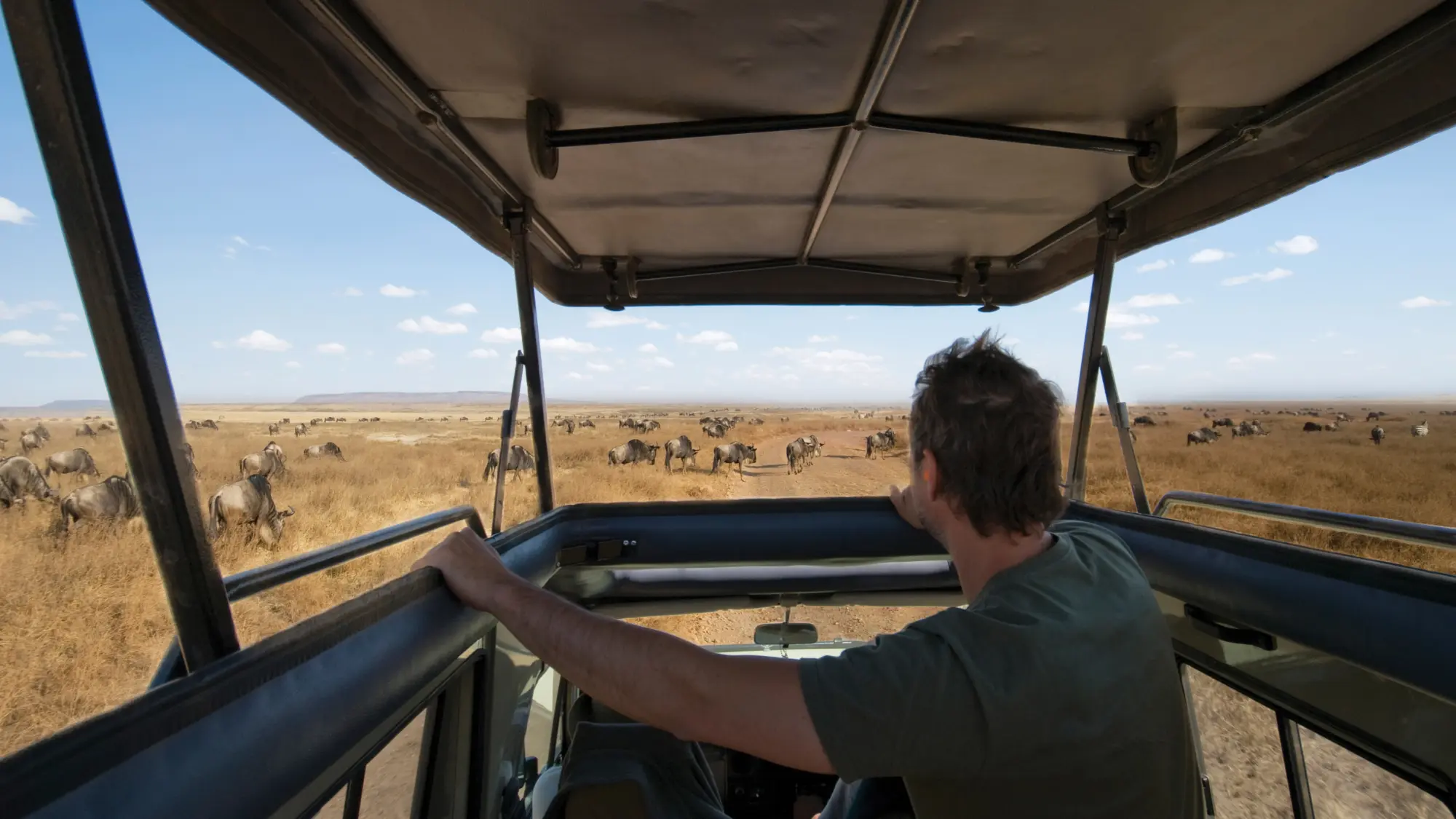Unforgettable Kenya: Masai Mara & Lake Nakuru