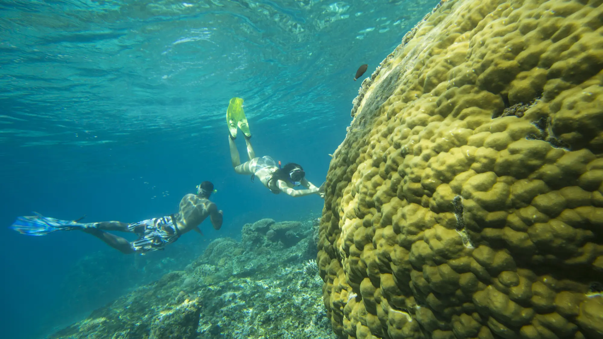 Lombok to Flores: The Hidden Path