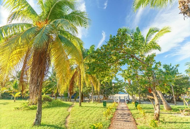 Memories Trinidad del Mar, General view