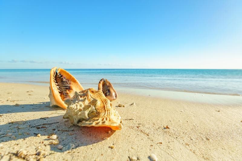 Memories Trinidad del Mar, Beach