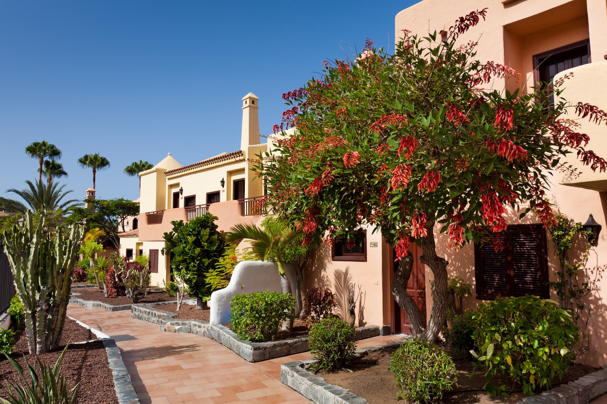 Tagoro Family and Fun Costa Adeje, General view