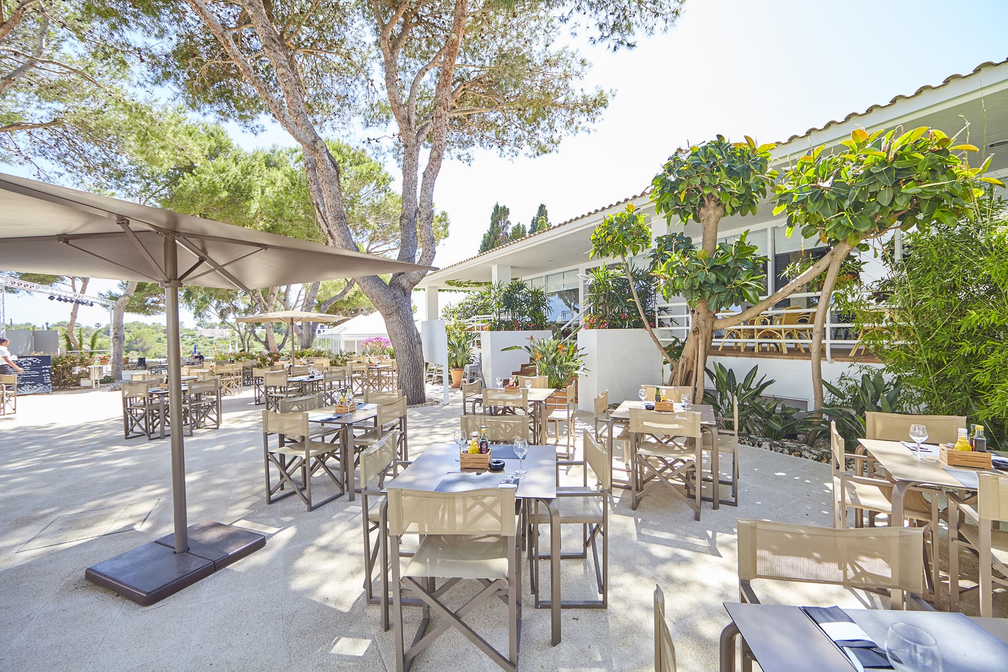 Prinsotel la Caleta, Bar