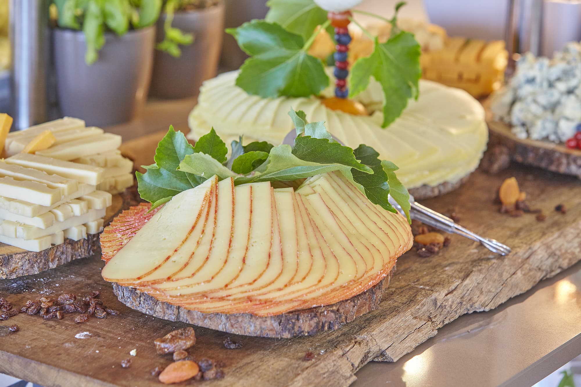 Prinsotel la Caleta, Restaurant